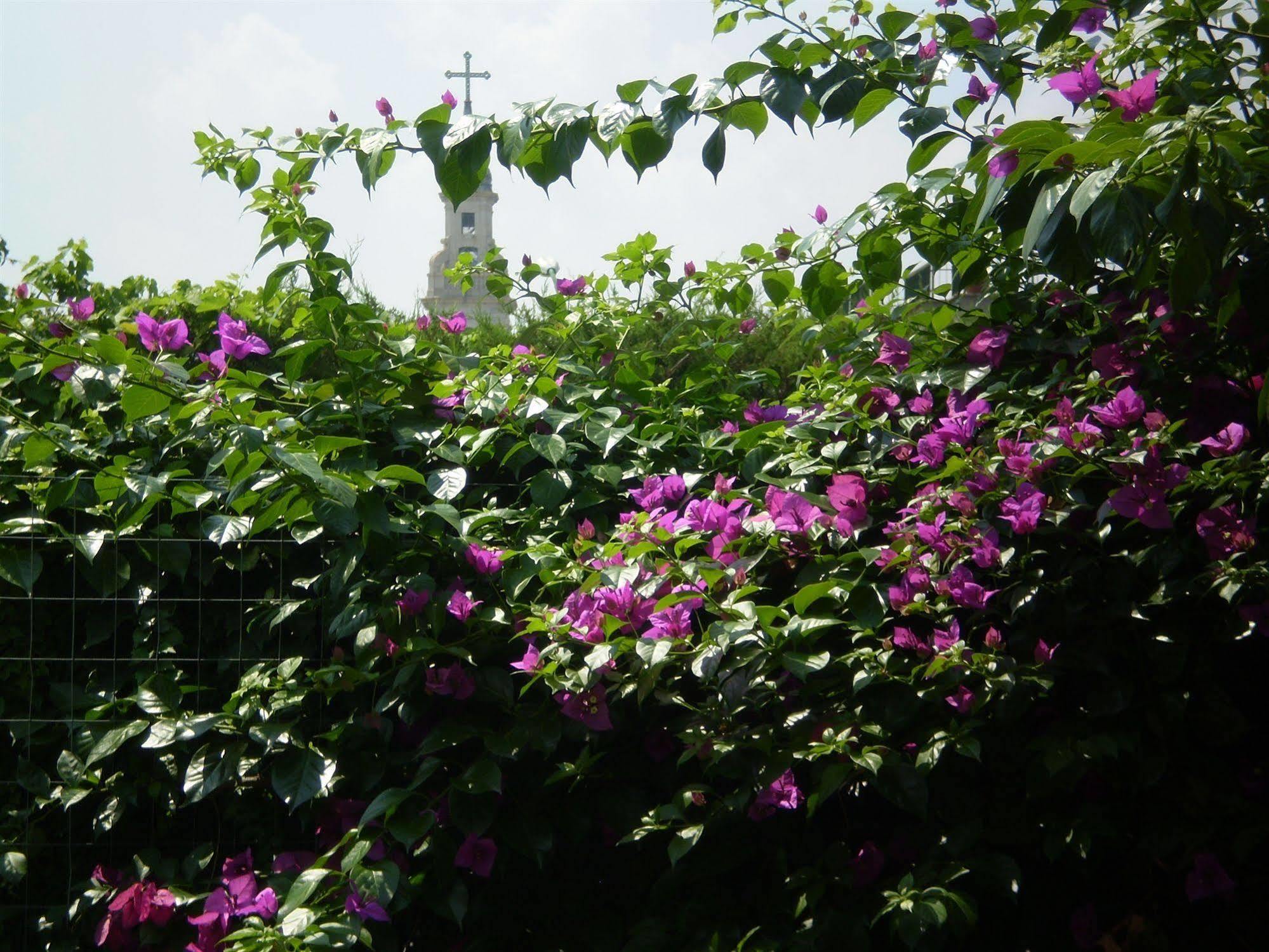 B&B Pompei Welcome 외부 사진